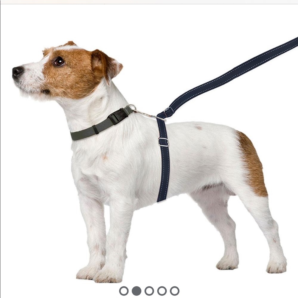 ThunderLeash No-Pull solution NWOT
